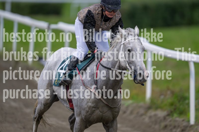 20240815-181841-DSC_4216