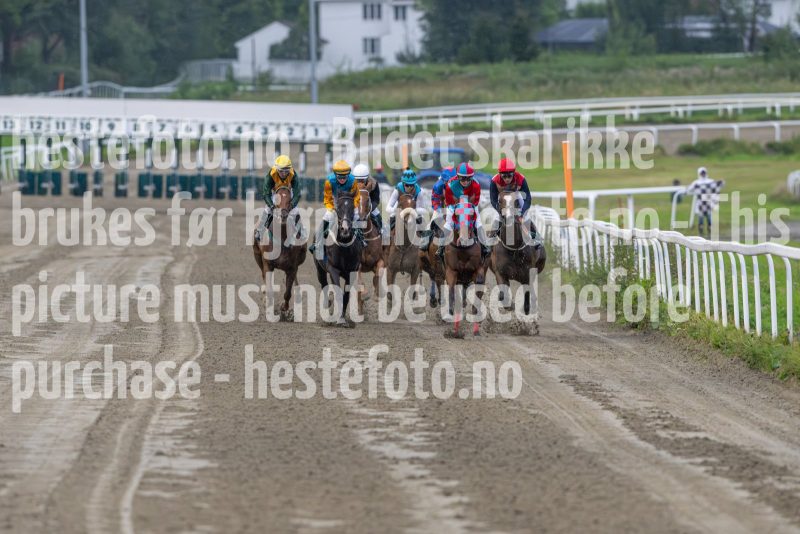20240815-190837-DSC_5645