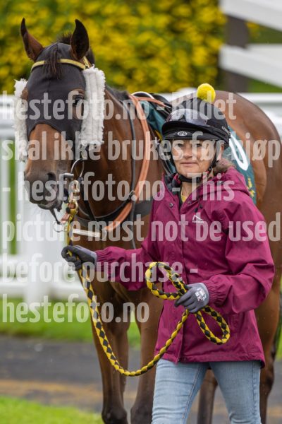 20240815-192032-DSC6331