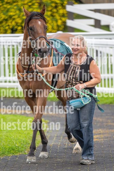 20240815-192115-DSC6393