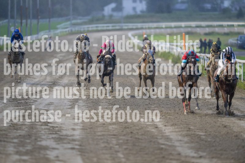 20240815-193837-DSC_7005