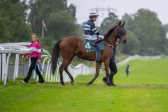 20240815-192729-DSC6553