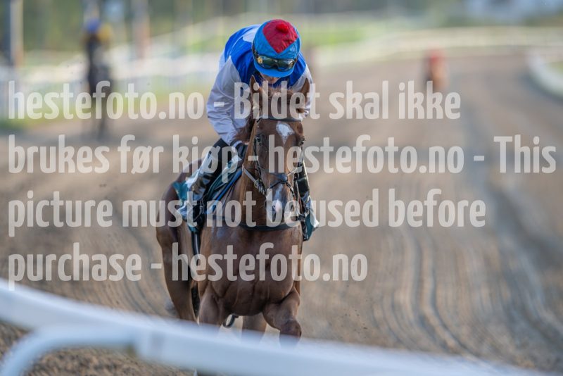 20240905-190051-DSC_2622