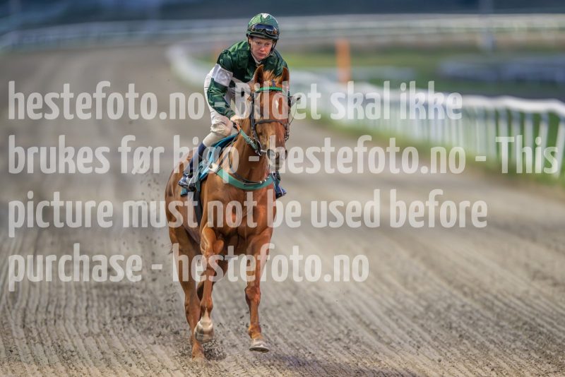 20240905-201731-DSC_5148