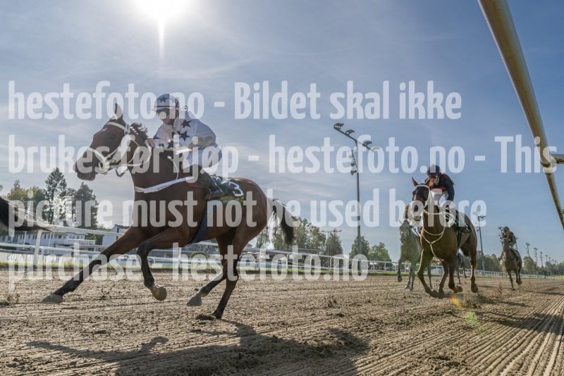 20240918-122308-DSC1395