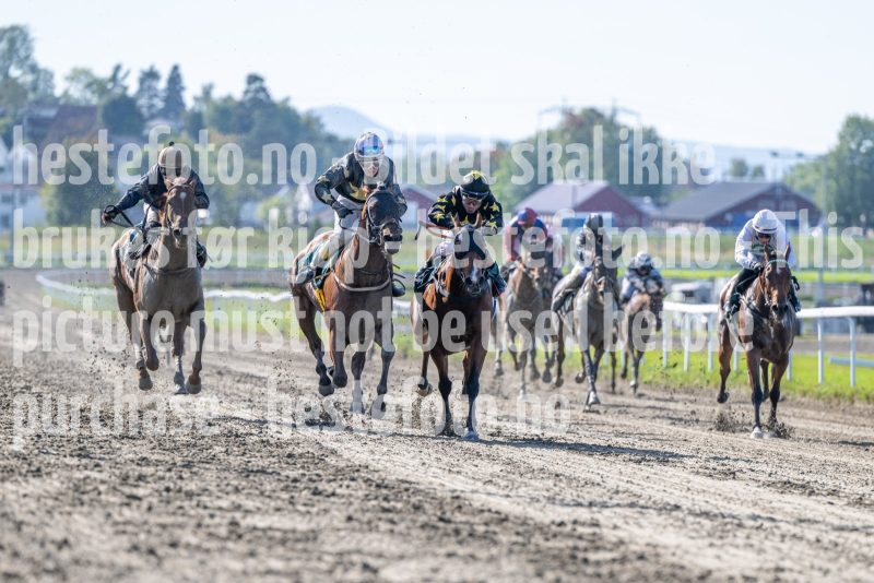 20240918-131806-DSC_7764