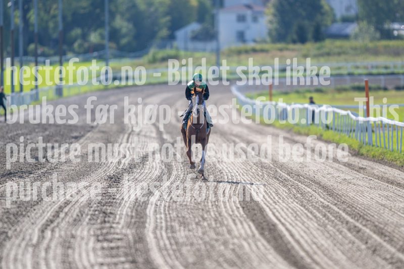 20240918-140106-DSC_9190