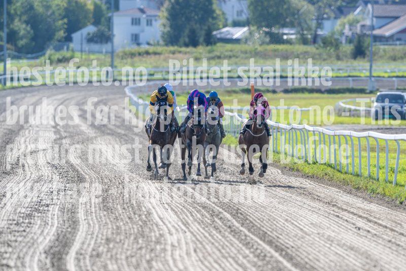 20240918-142825-DSC_0237