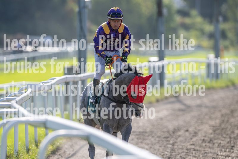 20240918-144648-DSC_1028