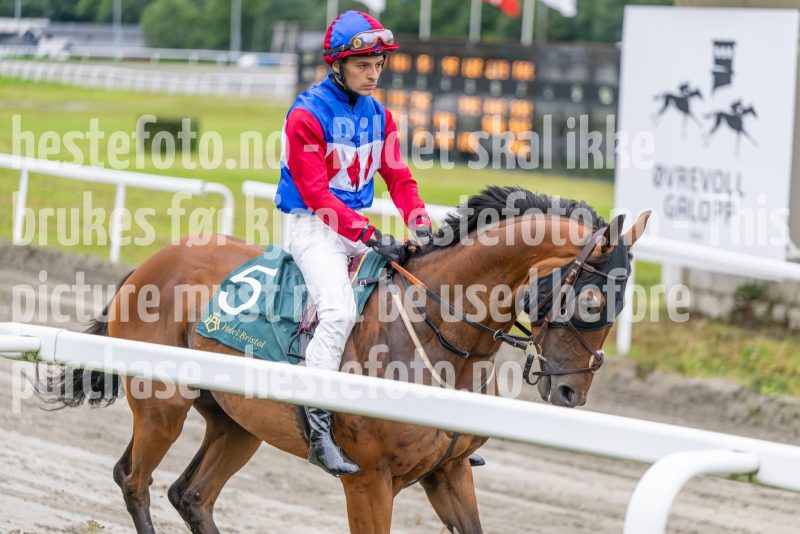 20240821-121639-DSC_8102