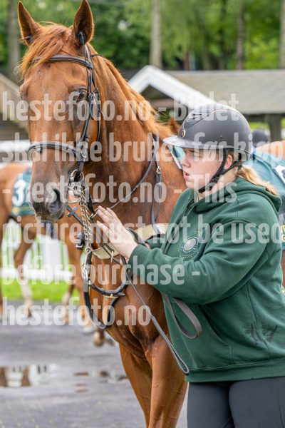 20240821-141833-DSC_3094