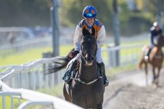 20240929-133052-DSC_9582