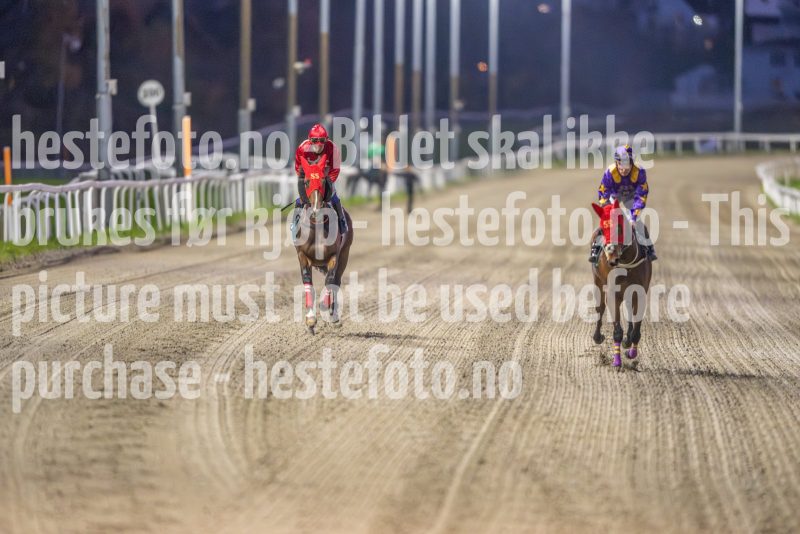 20241024-181313-DSC_1261