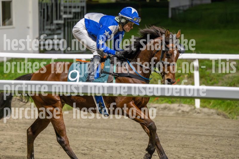 20241024-192750-DSC_2685