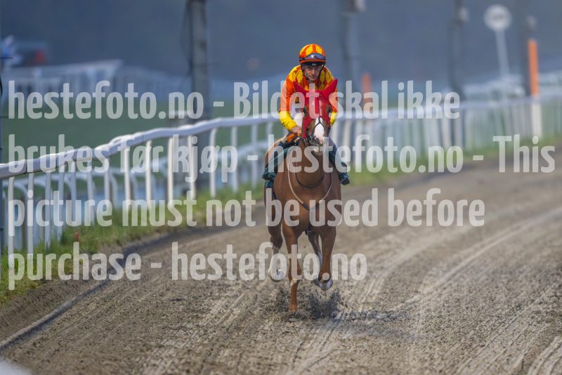 20241017-172512-DSC_5731