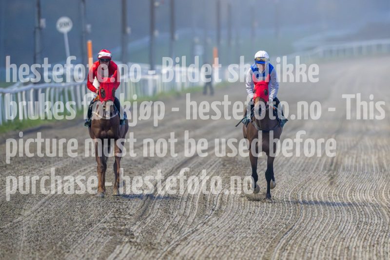 20241017-172558-DSC_5805