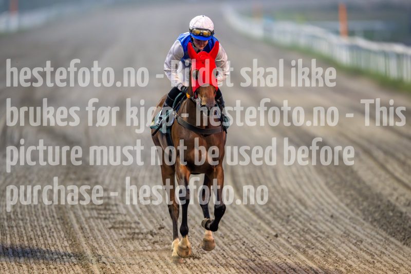 20241017-172603-DSC_5835
