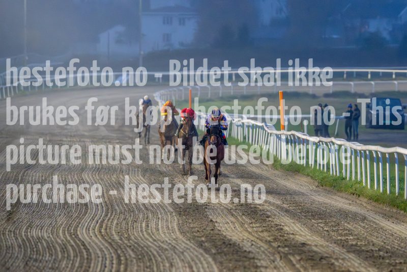 20241017-173139-DSC_6007