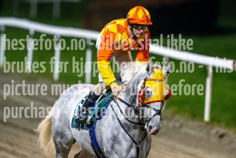 20241017-183633-DSC_7115