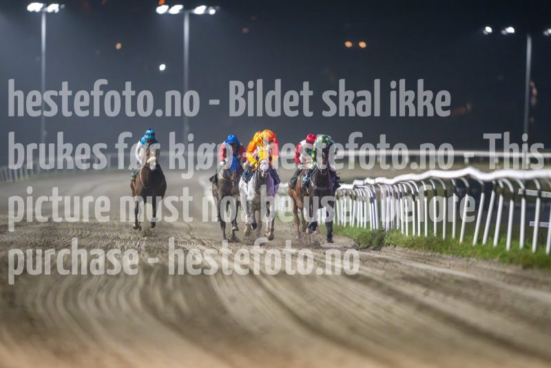 20241017-184245-DSC_7376