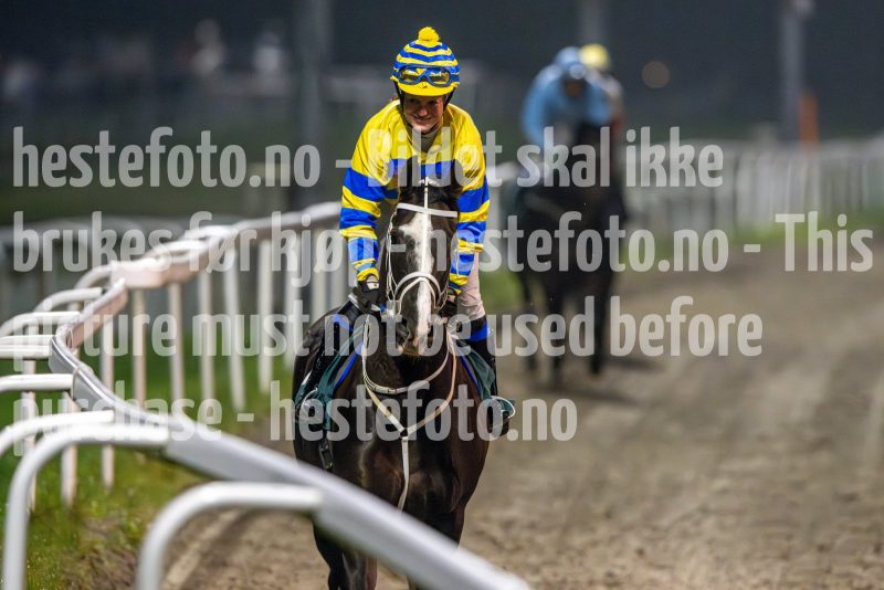 20241017-190010-DSC_7785