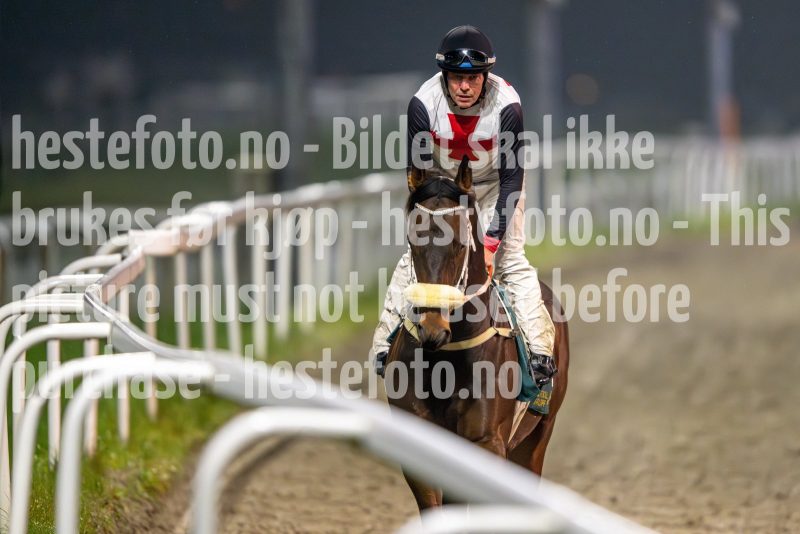 20241017-192730-DSC_8695