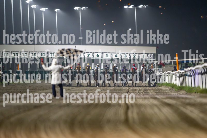20241017-195948-DSC_9373