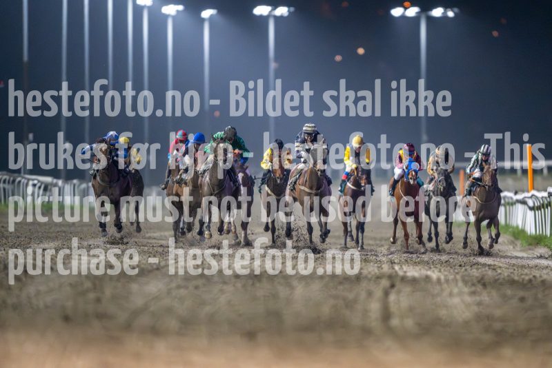 20241017-202400-DSC_0674