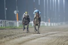 20241017-190813-DSC_8190