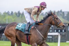 20250501-182125-DSC_2642
