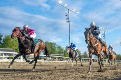 20250508-193256-DSC_9353