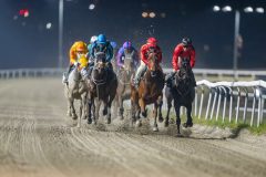 20241107-200911-DSC_8612