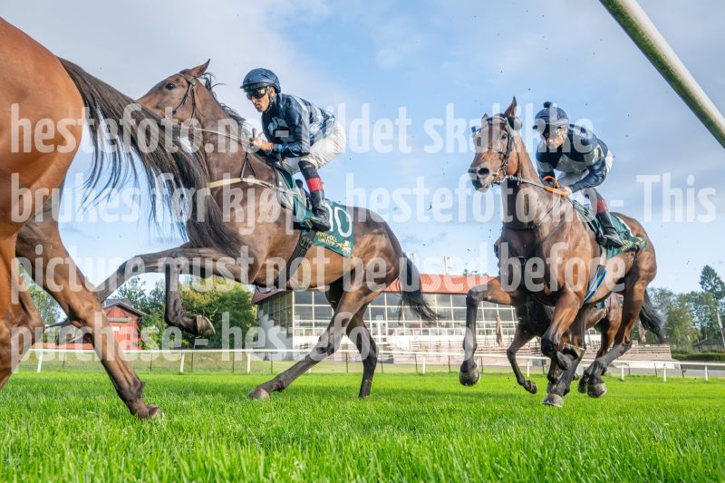 20250904-182204-DSC_2342
