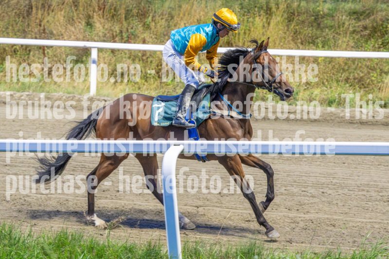 20250904-201839-DSC_1143