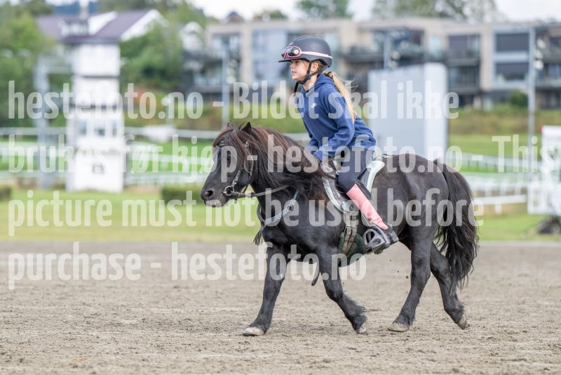 20250906-131224-DSC_4639