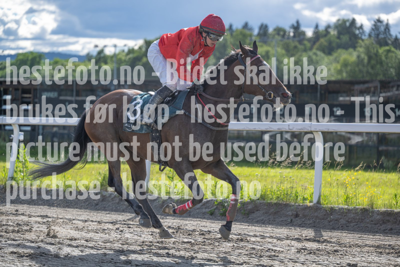 20260618-181852-DSC9993