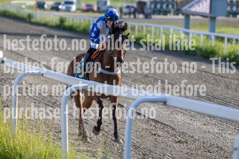 20260618-190138-DSC_7141