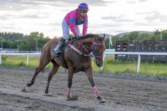 20260618-202537-DSC_9717