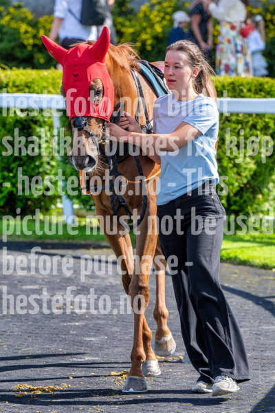 20260823-123714-DSC8070