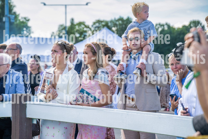 20260823-125303-DSC_3556