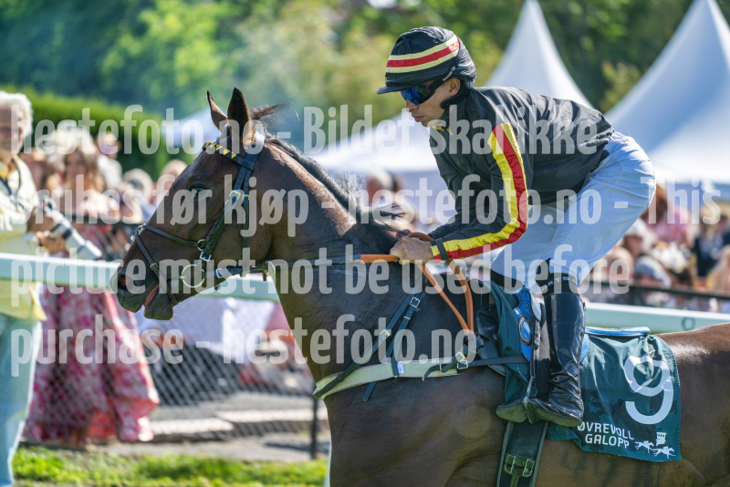 20260823-135757-DSC_6018