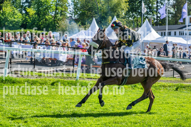 20260823-145229-DSC_7348