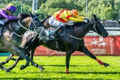 20260823-150350-DSC_7688