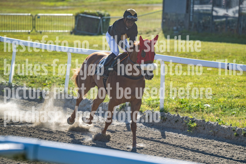 20260825-164702-DSC_6454