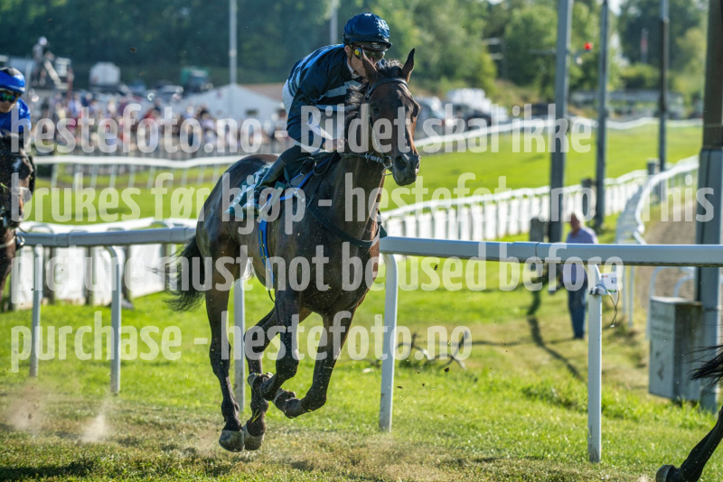 20260825-171611-DSC_7222