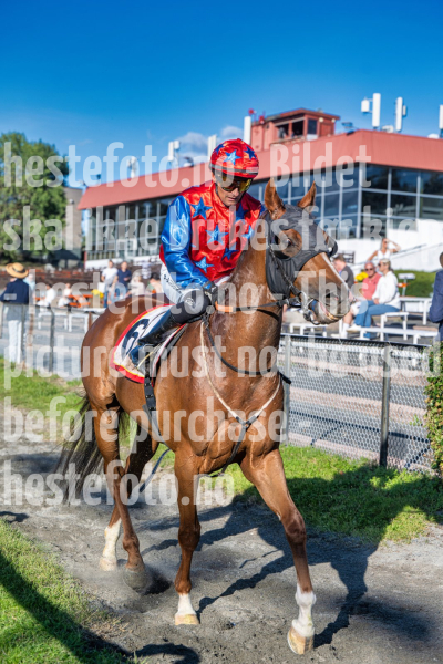 20260825-174754-DSC0149