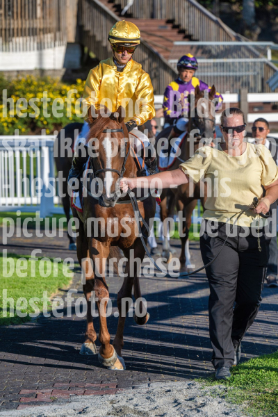 20260825-183524-DSC0779