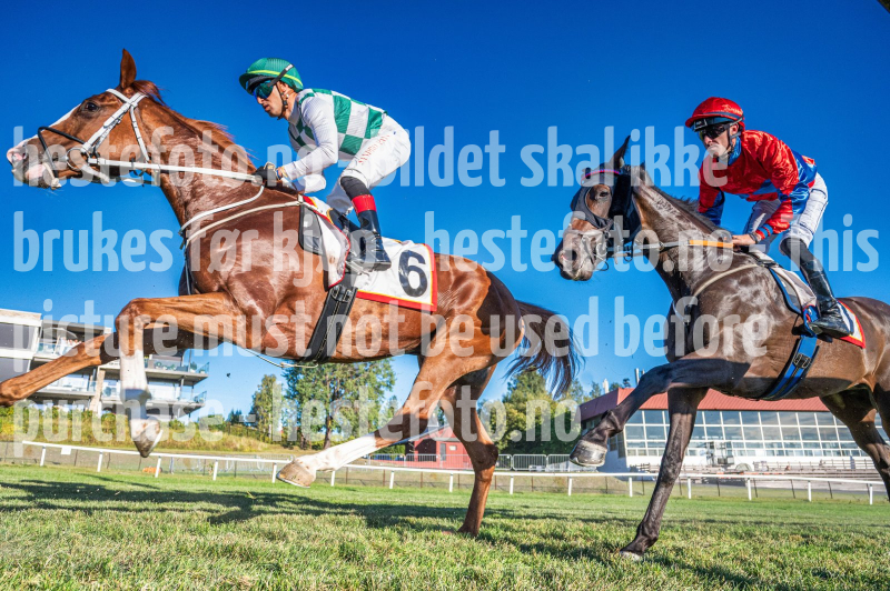 20260825-184338-DSC_0159