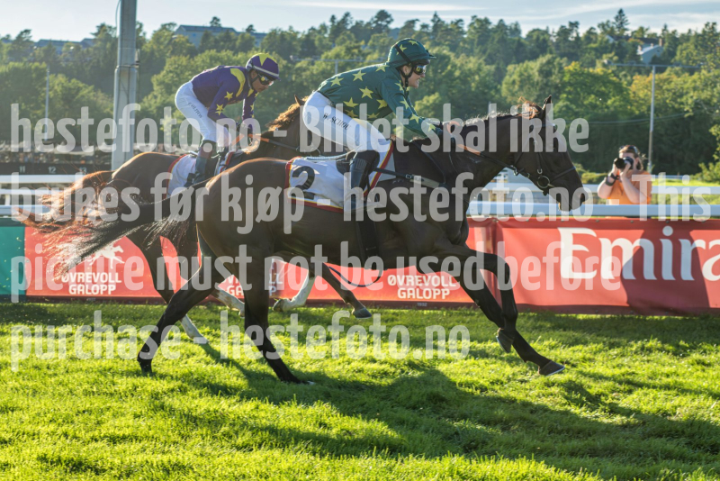 20260825-184607-DSC_1086