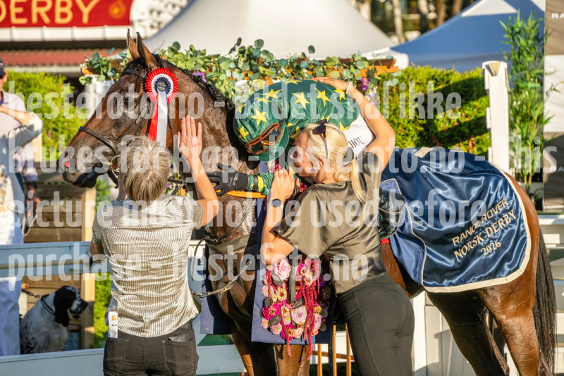 20260825-185123-DSC_2783